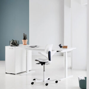 HAG_ergodesk
