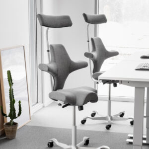 HAG_Capisco_headrest